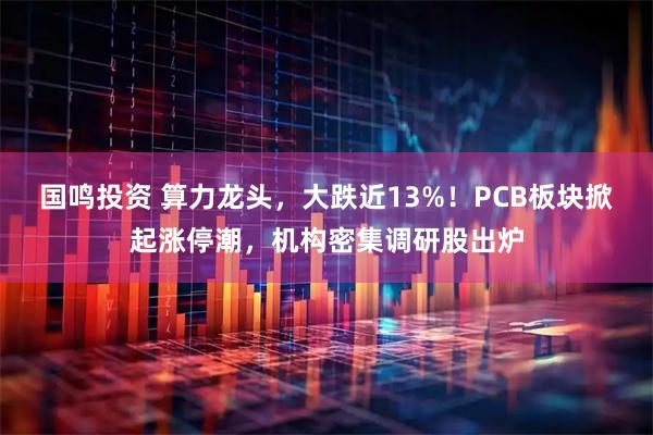 国鸣投资 算力龙头，大跌近13%！PCB板块掀起涨停潮，机构密集调研股出炉