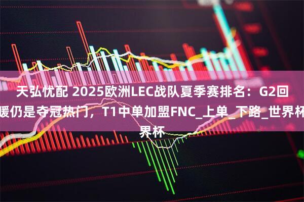 天弘忧配 2025欧洲LEC战队夏季赛排名:G2回暖仍是夺冠热门,T1中单加盟FNC_上单_下路_世界杯