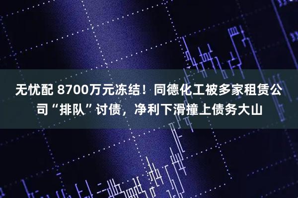 无忧配 8700万元冻结！同德化工被多家租赁公司“排队”讨债，净利下滑撞上债务大山