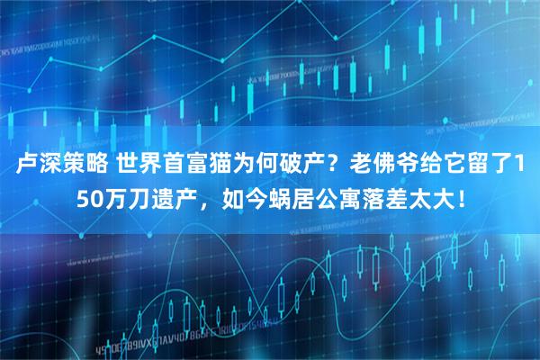 卢深策略 世界首富猫为何破产？老佛爷给它留了150万刀遗产，如今蜗居公寓落差太大！