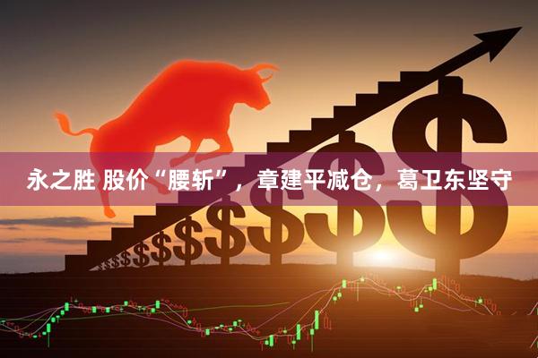 永之胜 股价“腰斩”，章建平减仓，葛卫东坚守